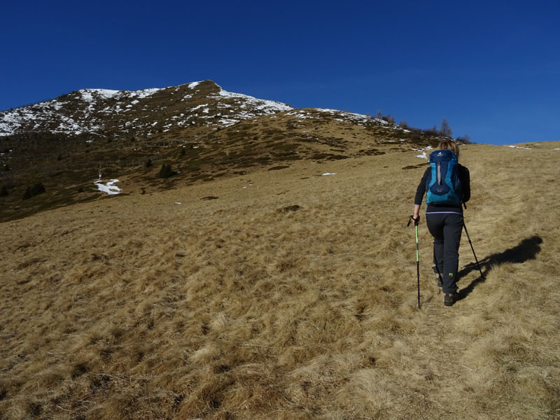 Cimon di Bolentina m. 2287 - Piz di Montes m. 2368